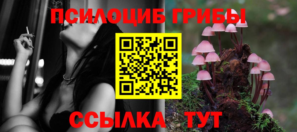 Волжский  Галлюциногенные грибы Cubensis  Вход с VPN  продажа наркотиков  Псилоцибиновые грибы Cubensis 